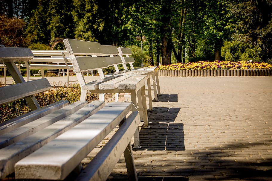 Bench, Spacer, Rest, park, tree, empty, no people, day, nature HD wallpaper
