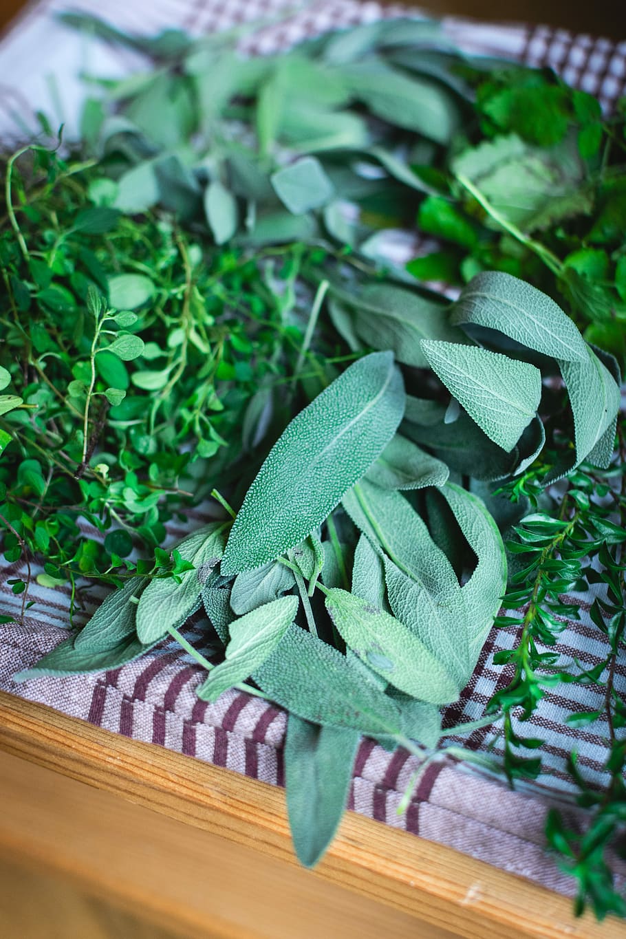 Different kinds of fresh herbs, healthy, leaf, freshness, plant HD wallpaper