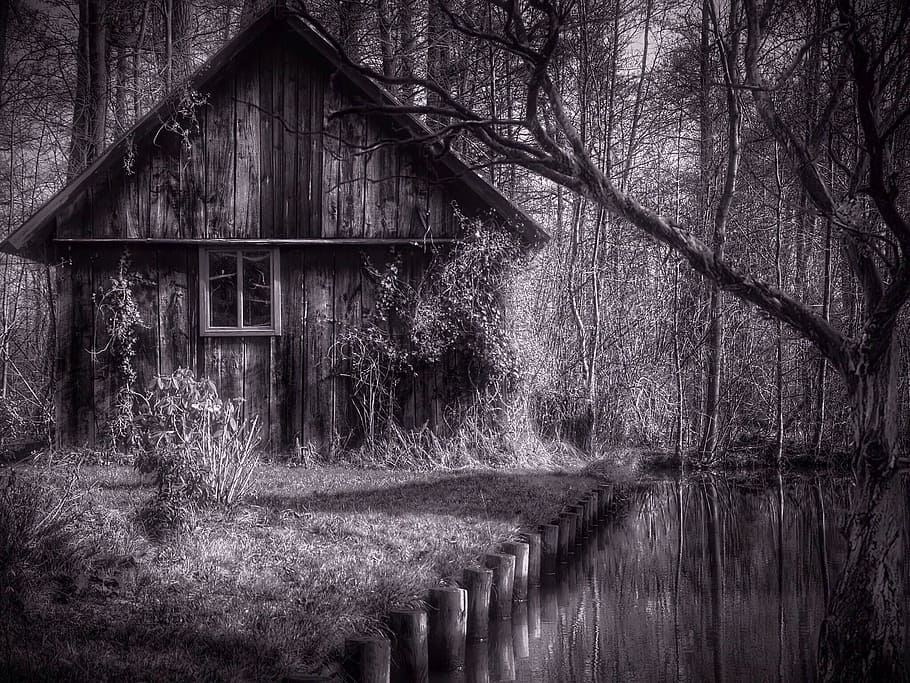 grayscale photo of wooden house near trees, home, building HD wallpaper