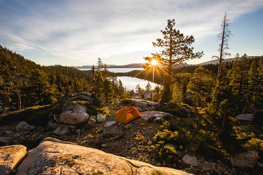 orange tent on gray mountain, orange camping tent on mountain during sunrise HD wallpaper