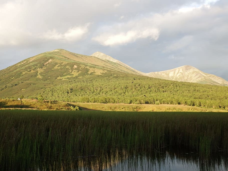 mountains, evening, summer landscape, sky, clouds, forest, nature HD wallpaper
