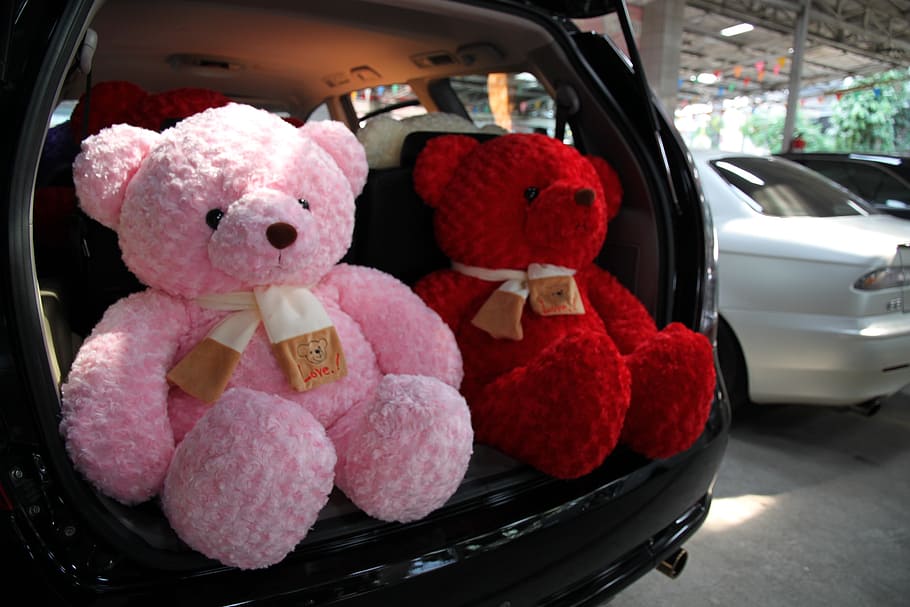 car, teddy, space wagon, mode of transportation, motor vehicle HD wallpaper