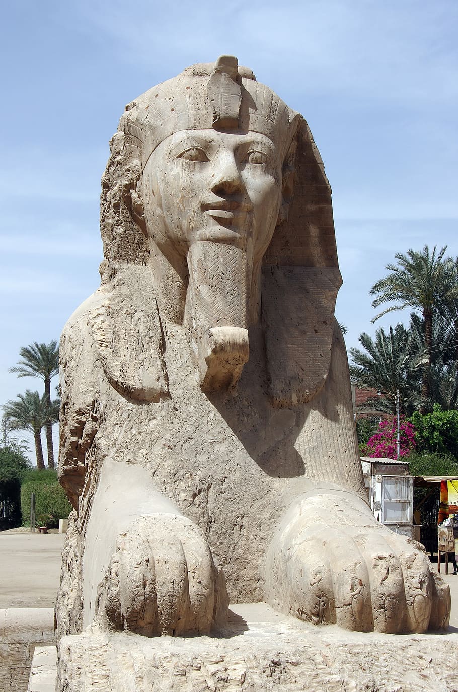 egypt, memphis, sphynx, sculpture, statue, travel, art, architecture, HD wallpaper