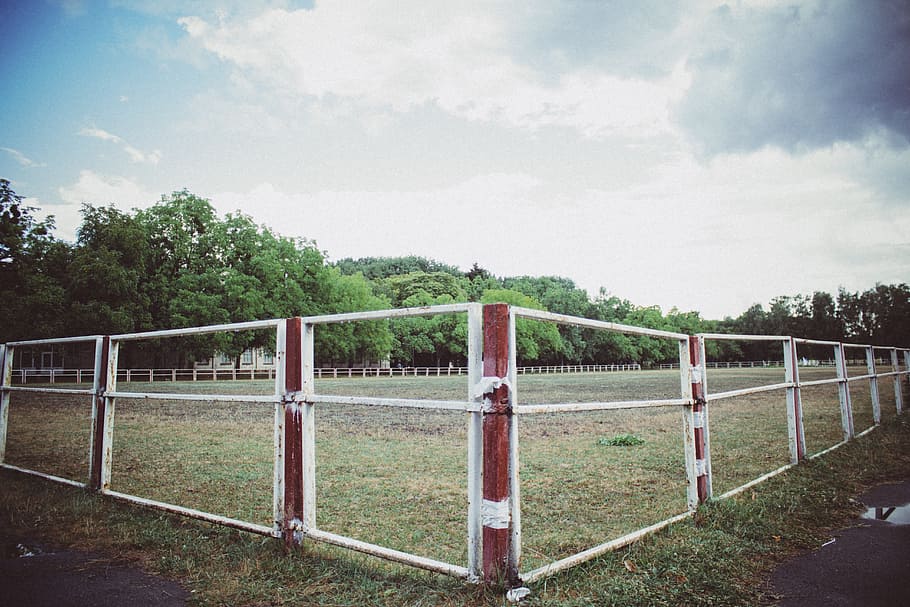 fence, yard, field, green, grass, nature, outdoors, sunshine HD wallpaper