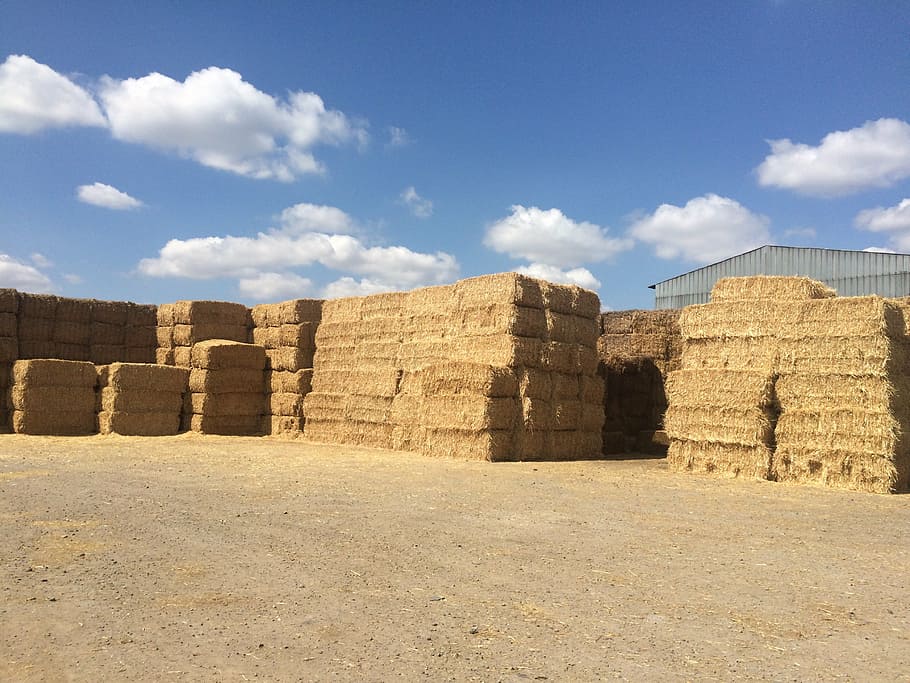 packages, wheat, stack, heaven, summer, agriculture, bale, hay HD wallpaper