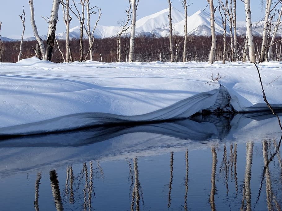 winter, river, mountains, forest, reflection, snow, leann, cold HD wallpaper