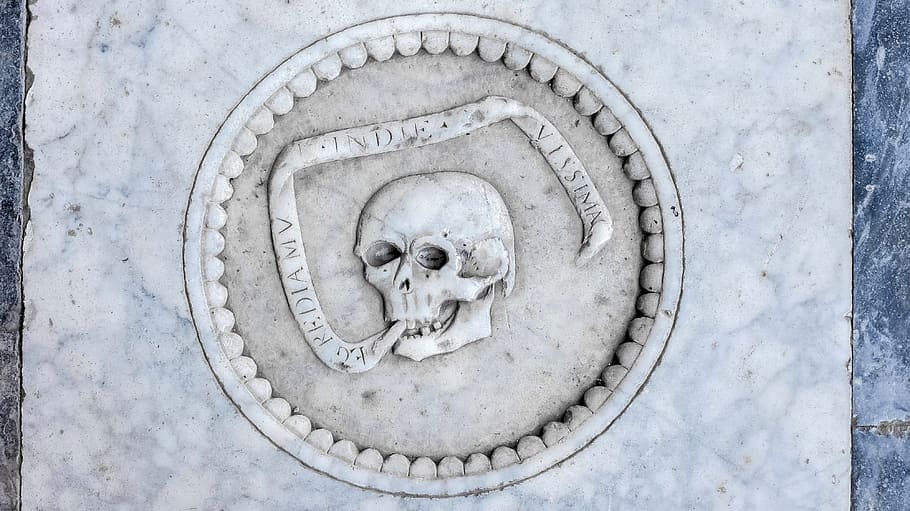 Skull, Engraved, Marble, Tomb, pisa, ornate, architecture, close-up HD wallpaper