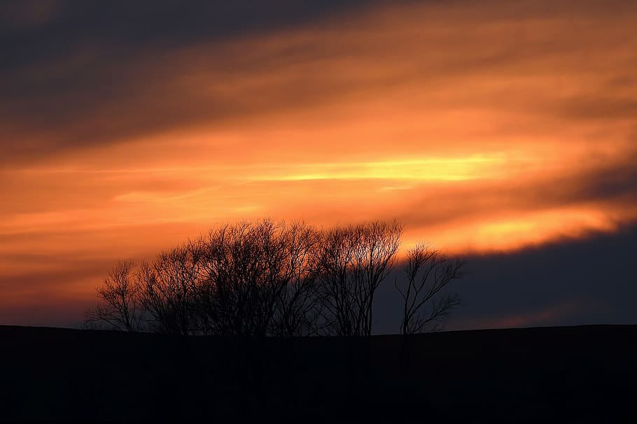 sunset, the sun, light, twilight, sky, silhouette, cloud - sky HD wallpaper