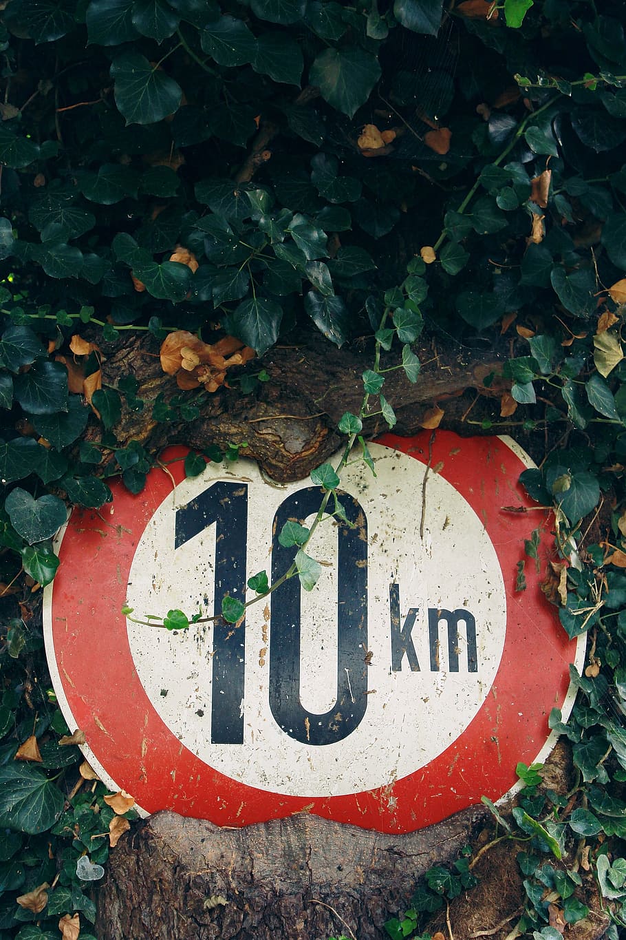 Red and White 10 Km Sign, characters, color, design, leaves, mileage