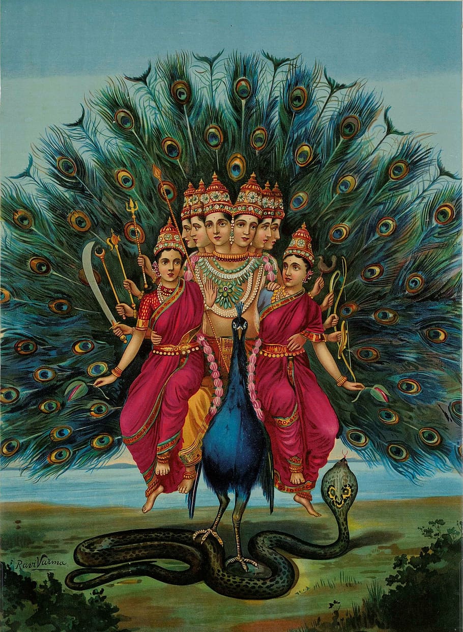 HD wallpaper: blue peacock with Hindu Gods illustration, pictures, deity,  murugan | Wallpaper Flare