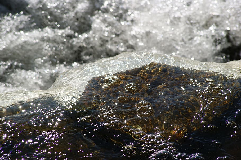 Stone, Water, flowing, no people, nature, outdoors, day, close-up HD wallpaper