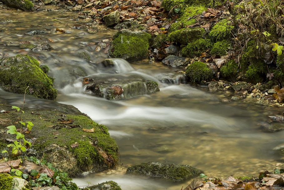 Water, Flow, Descend, Foam, Fall, Leaf, leaves, long, green HD wallpaper