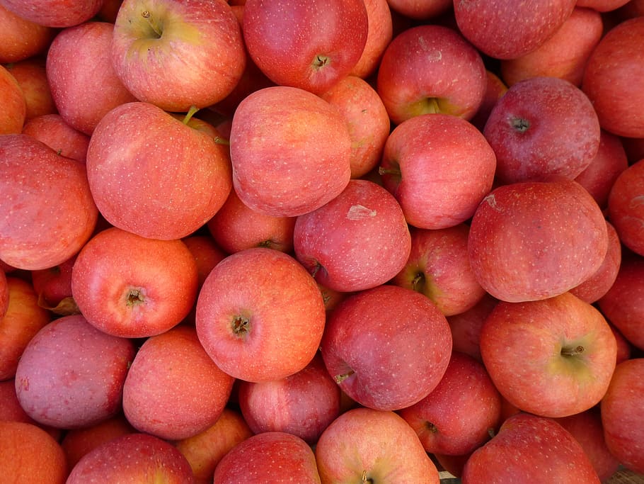 pile of red Apples, fruit, still life, healthy eating, food and drink HD wallpaper