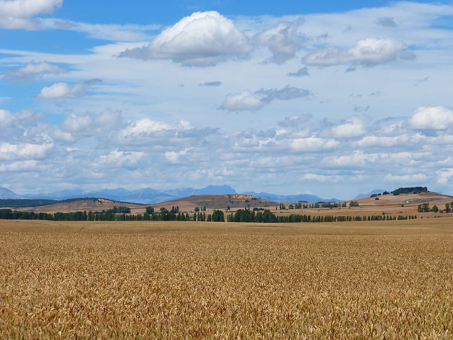 Sky, Clouds, Blue, Earth, Landscape, field, mountain, nature HD wallpaper