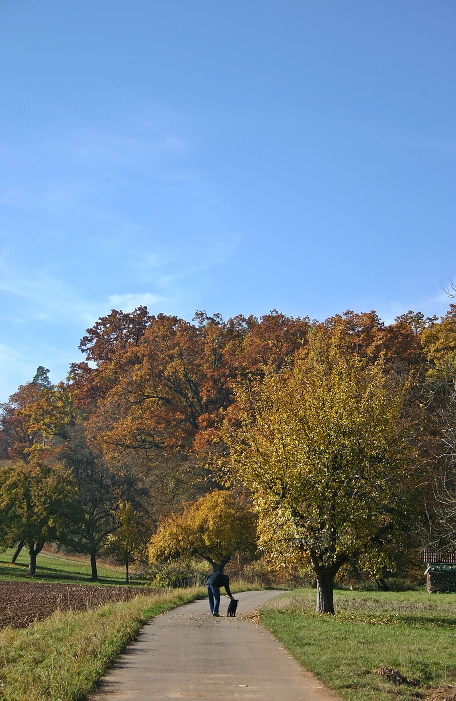 autumn, walk, autumn walk, away, landscape, autumn landscape, HD wallpaper