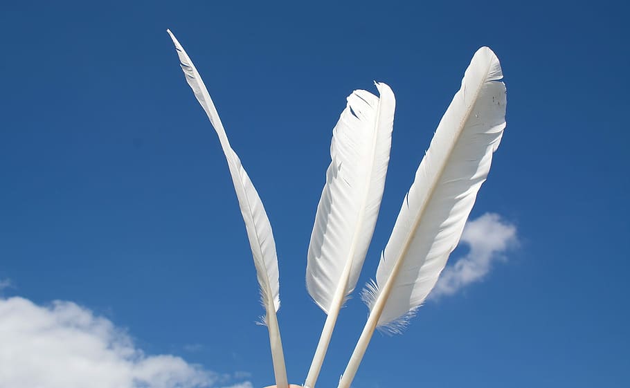 Feather, White, Ease, sky, slightly, bird feathers, blue, no people HD wallpaper