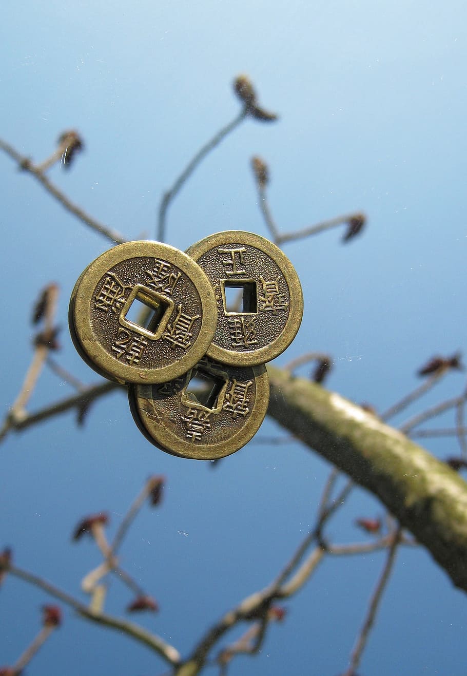 Coins, Chinese, Tree, Luck, tree of happiness, blue, no people HD wallpaper