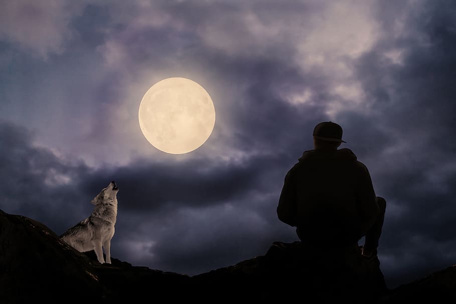 silhouette of man sitting on mountain during nighttime, full moon