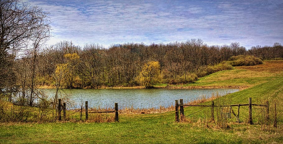 scenery, trees, water, artistic, art print, digital art, colorful HD wallpaper