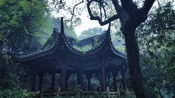 image contain Asian shed in woods, hangzhou, ching ming, the scenery HD wallpaper
