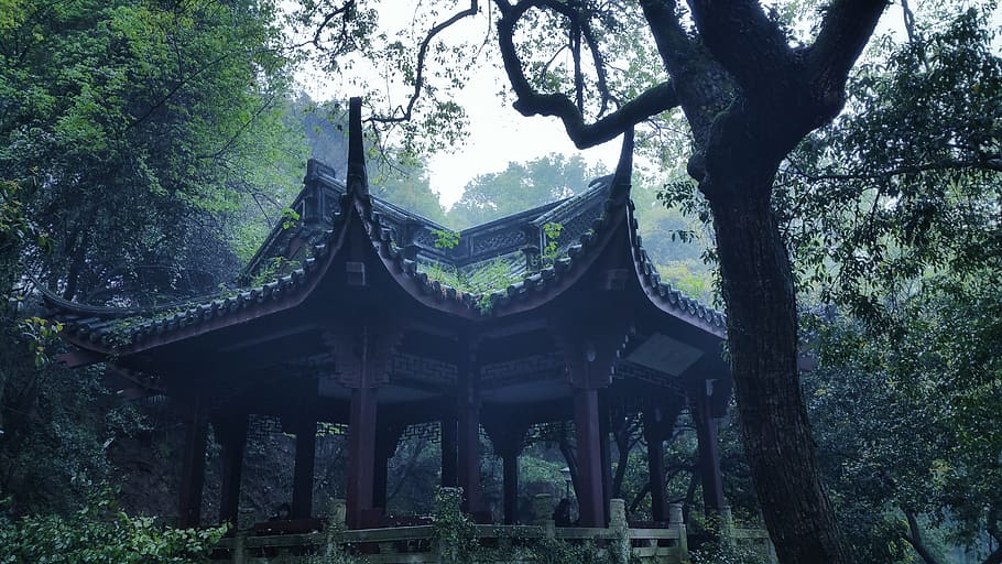 image contain Asian shed in woods, hangzhou, ching ming, the scenery HD wallpaper