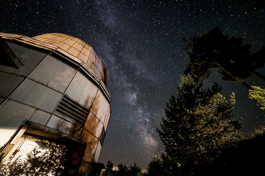 low angle photography of building under starry night, low-angle photography of gray and brown building beside trees under starry night HD wallpaper