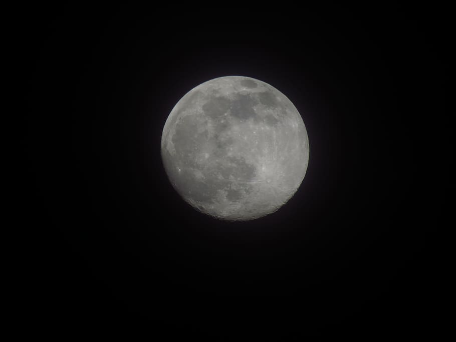 moon, satelite, night, black, white, craters, dark, full moon HD wallpaper