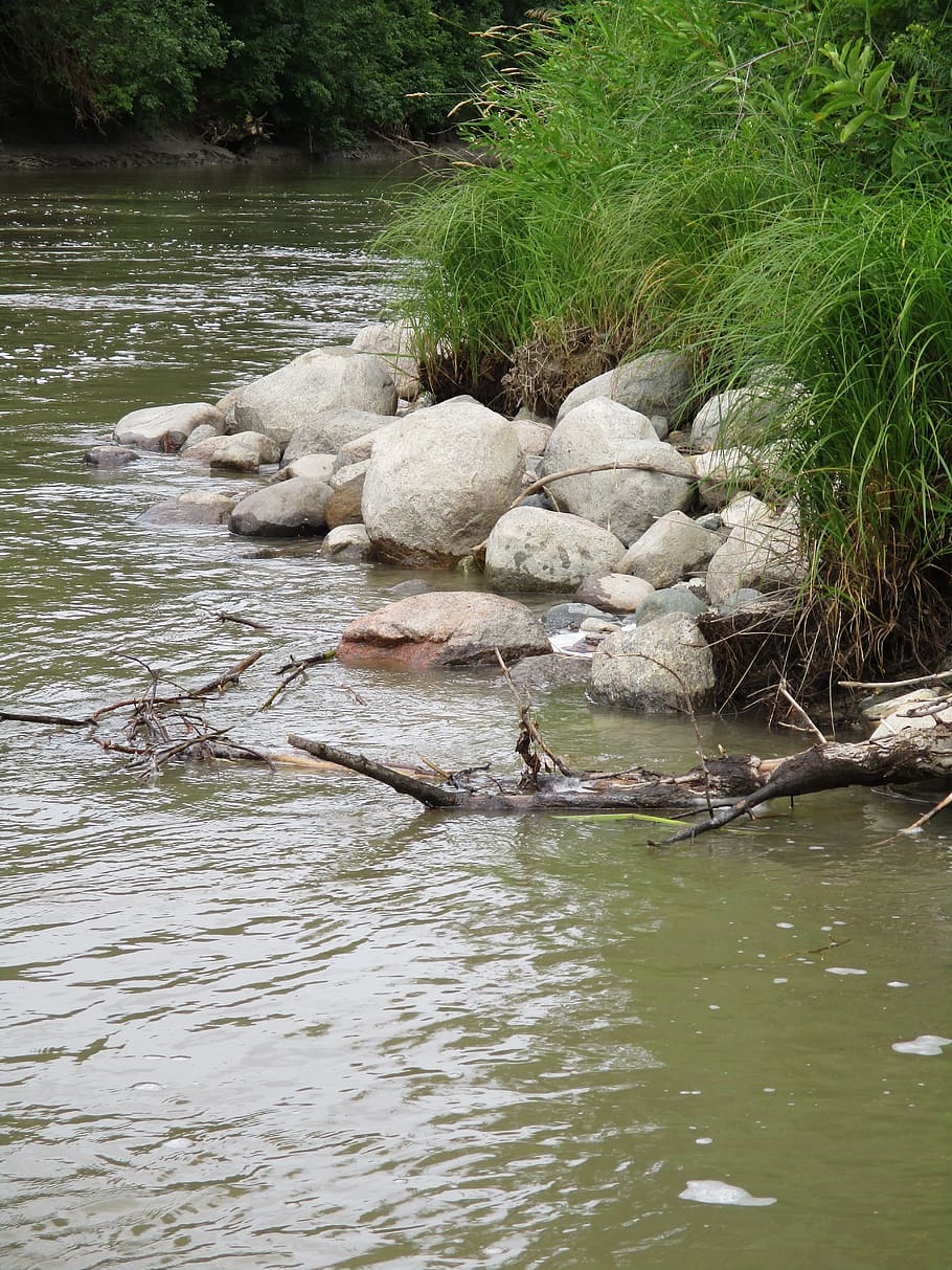 outside, rocks, river, mud, water, plant, waterfront, solid HD wallpaper
