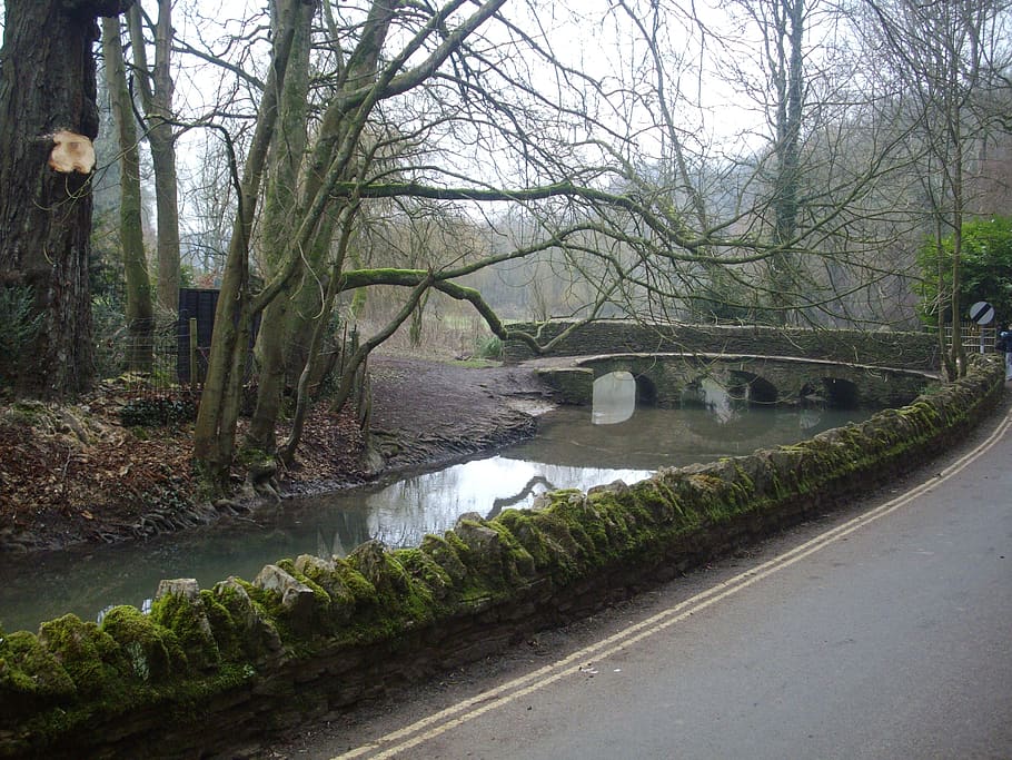 bridge, stream, outdoor, scenery, tree, water, plant, nature HD wallpaper