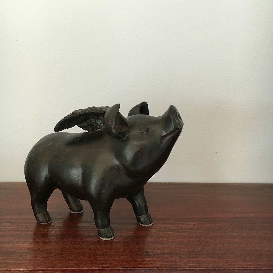 Flying Pig, Hog, animal representation, single object, reindeer HD wallpaper