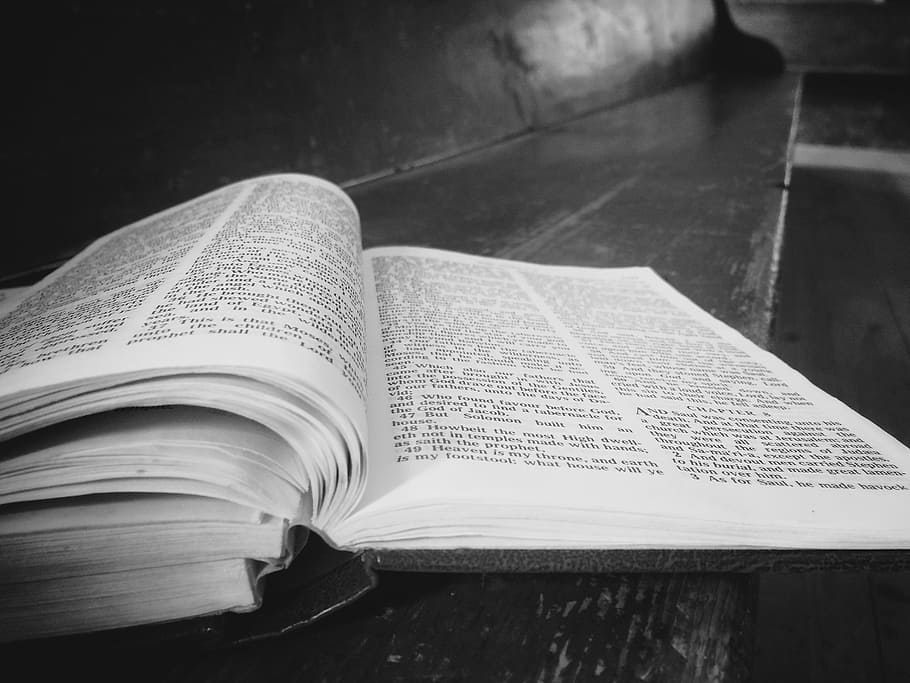 book, reading, paper, pages, black and white, publication, open HD wallpaper