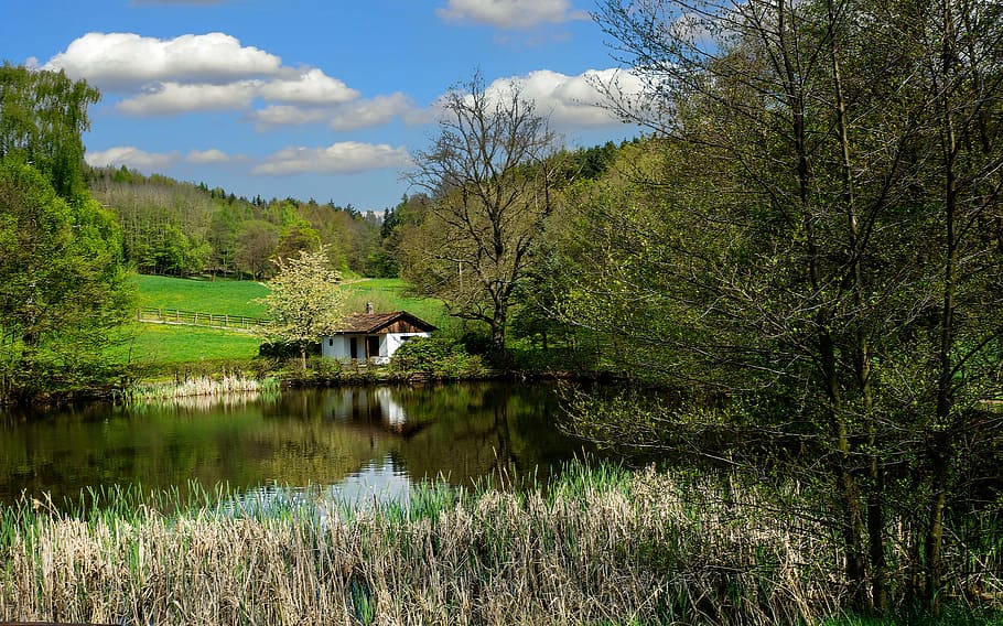 thuringia germany, thuringian forest, landscape, view, pond HD wallpaper