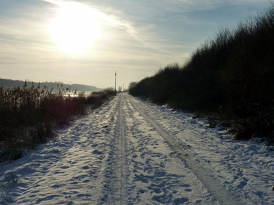 nok, winter, evening sun, snow, traces, nature, frost, the way forward HD wallpaper