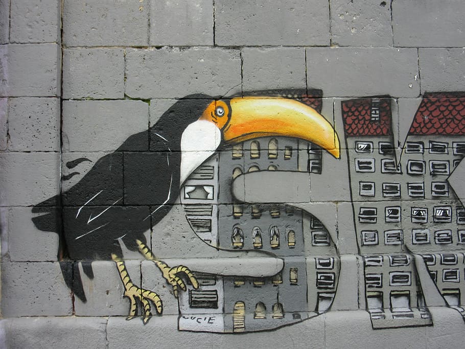toucan, graffiti, wall, art, colorful, sprayer, bird, bill HD wallpaper