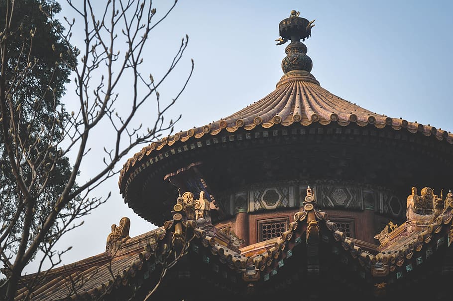 brown and black concrete temple at daytime, building, architecture HD wallpaper
