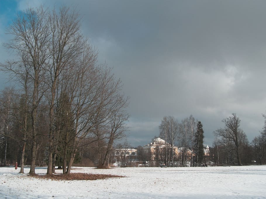sky, park, architecture, trees, spring, snow, winter, nature HD wallpaper