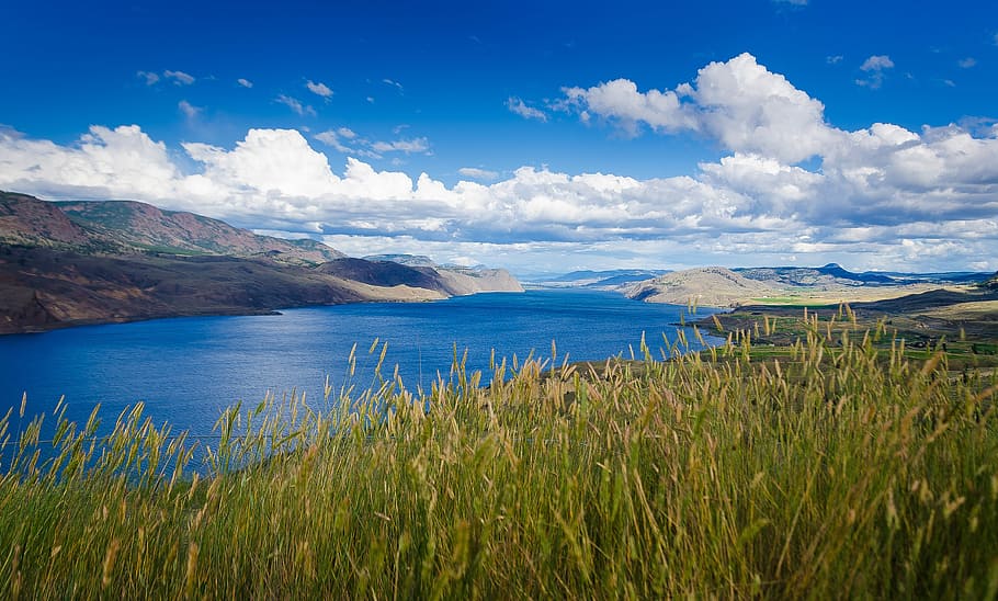 Rivers, Kamloops, beautifulbc, nature, landscape, scenics, lake HD wallpaper