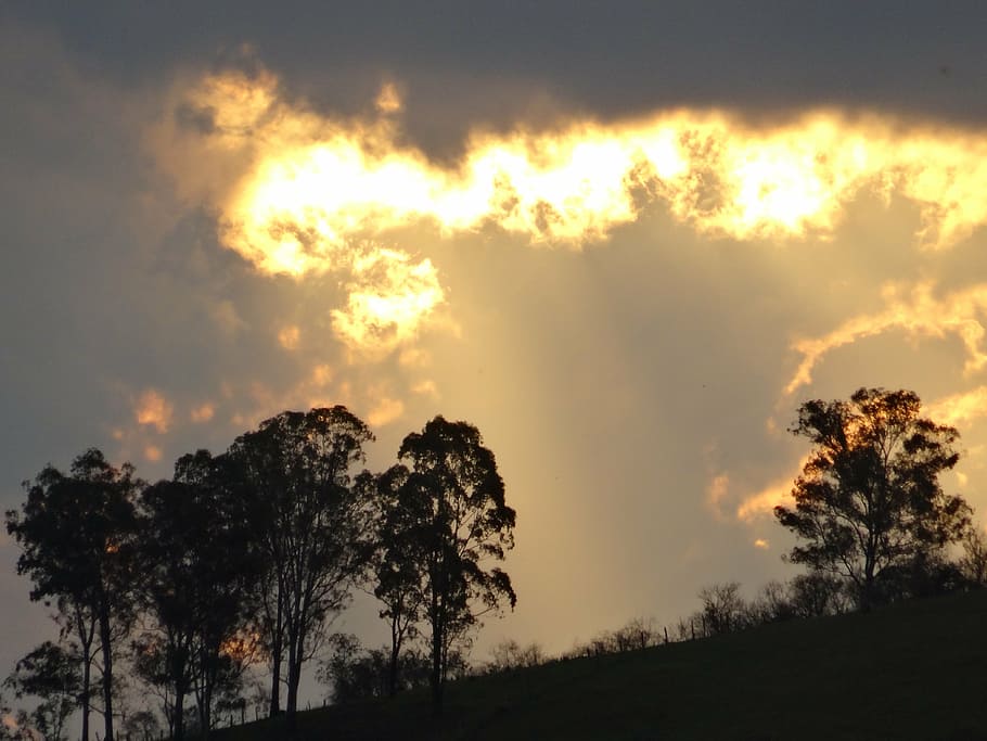 eventide, sunset, trees, flames, landscape, sky, tranquility HD wallpaper