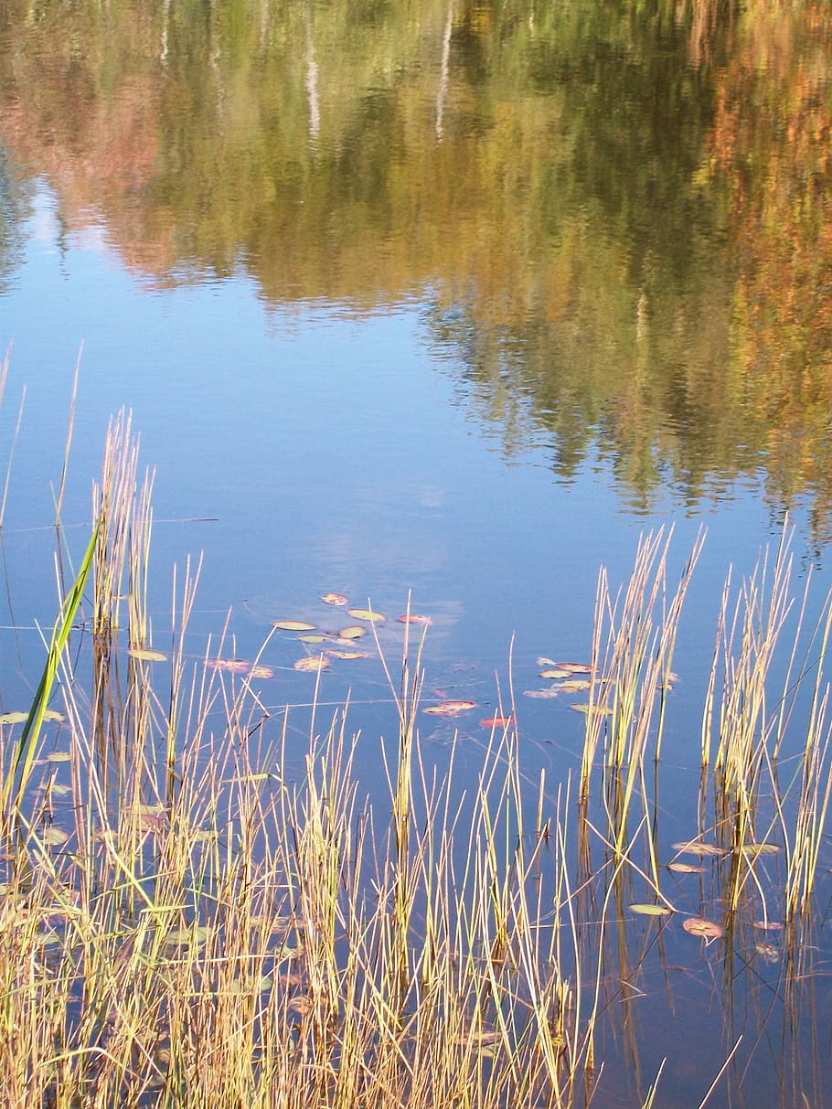 lake, reflection, autumn, water, nature, landscape, peaceful HD wallpaper