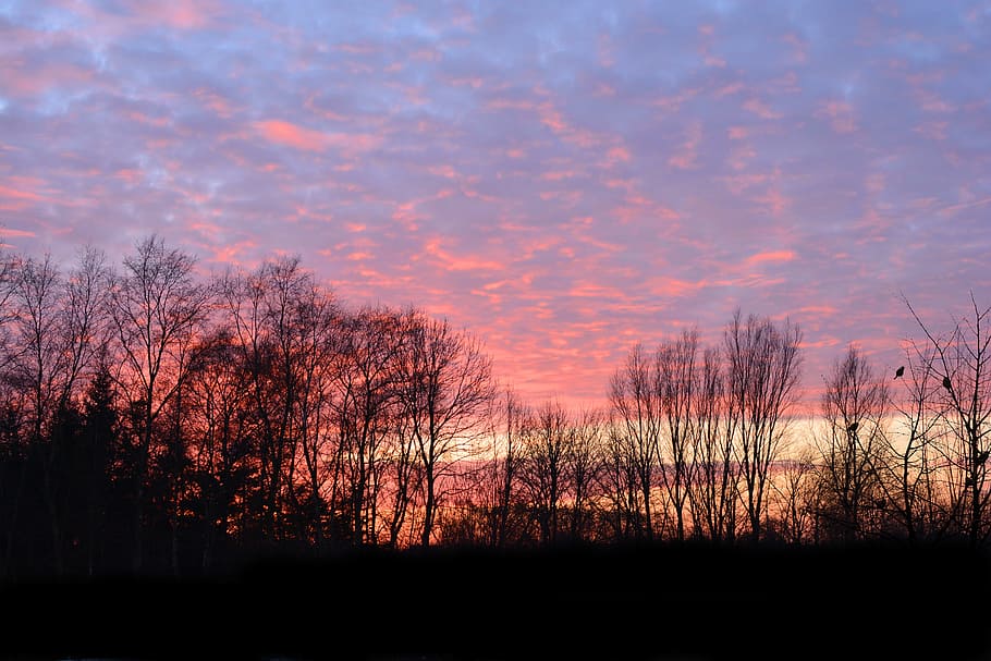 Sunset, Evening, Clouds, afterglow, evening sky, landscape HD wallpaper