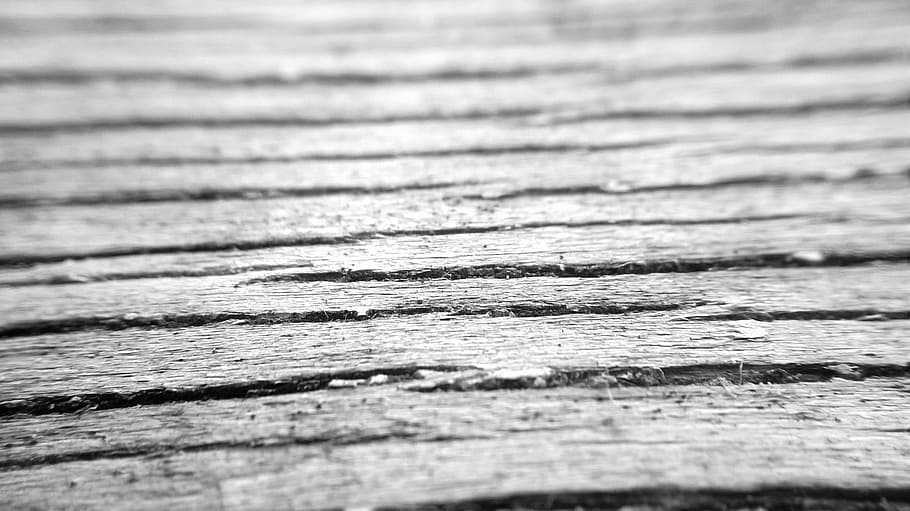 tree, closeup, board, wood, backgrounds, full frame, textured HD wallpaper