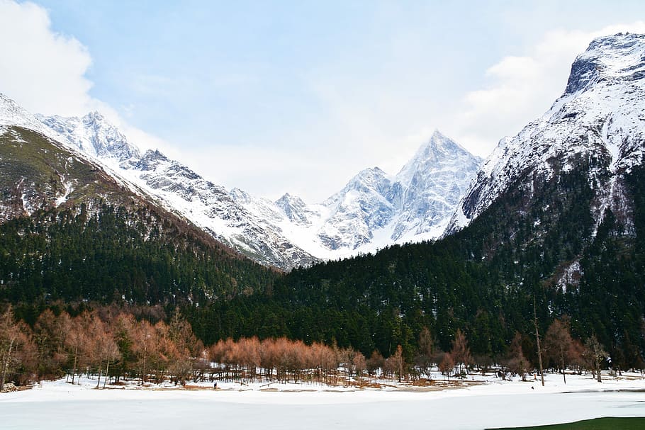 landscape photo of mountains, forest mountain covered by snow HD wallpaper