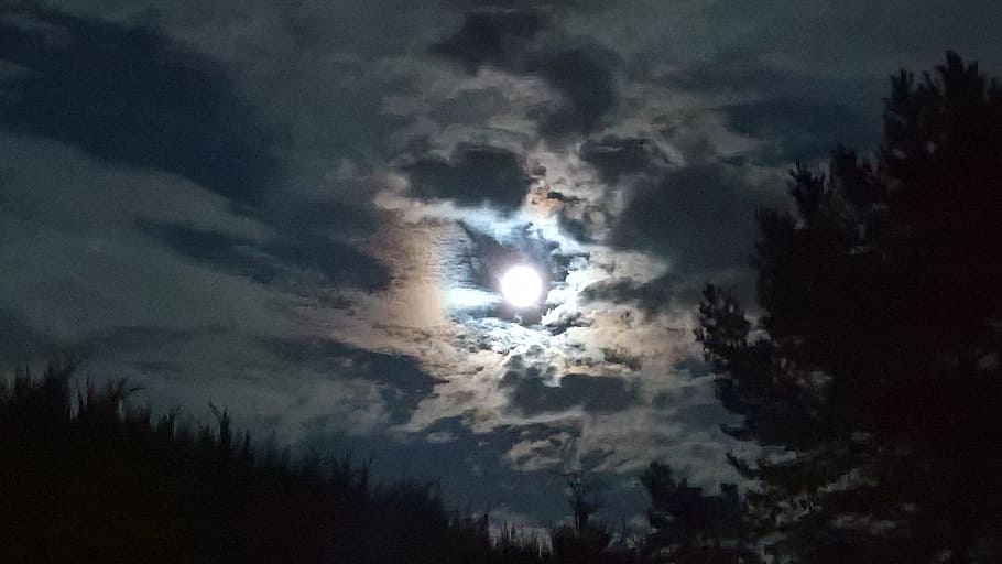trees under moon, clouds, evening, sky, night, full moon, mood HD wallpaper