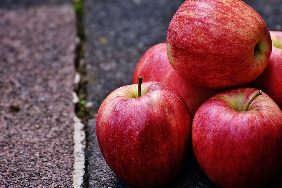 apple, red, delicious, fruit, ripe, red apple, frisch, vitamins HD wallpaper