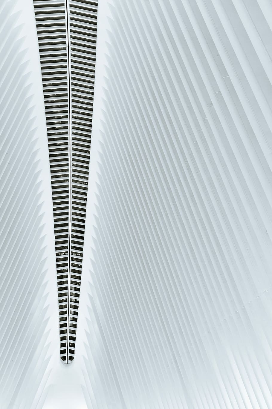 minimalist photography of building ceiling, architectural photography of building HD wallpaper