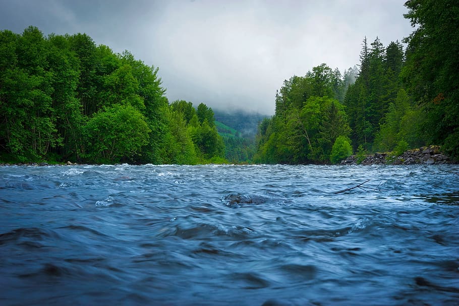 photo of body of water near green trees, spring river, river between HD wallpaper