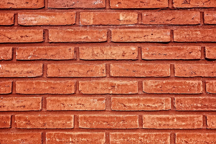 person showing wall of bricks, brick wall, red brick wall, masonry