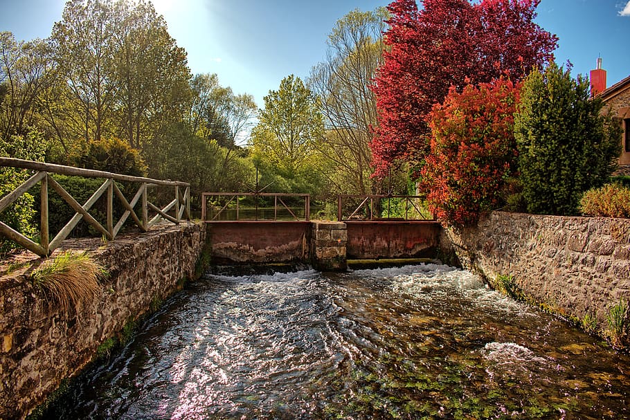river, landscape, nature, trees, plant, water, bridge, growth HD wallpaper