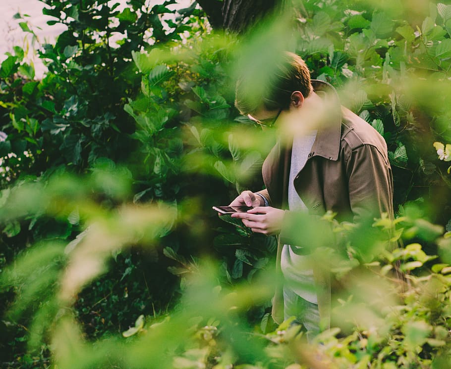 man in brown jacket while using jacket, man in brown leather jacket using Android smartphone beside green leaf plant HD wallpaper