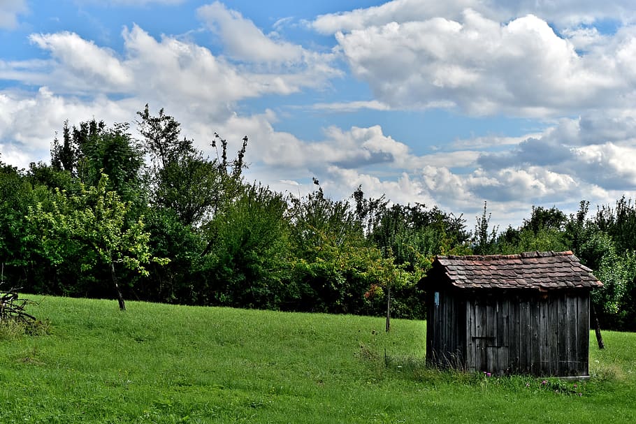 sky, cloud, tree, grass, hut, roof, house, landscape, green HD wallpaper